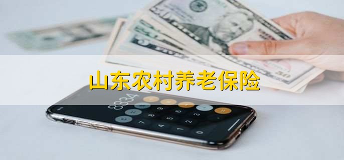 山东农村养老保险,政策有以下三种
