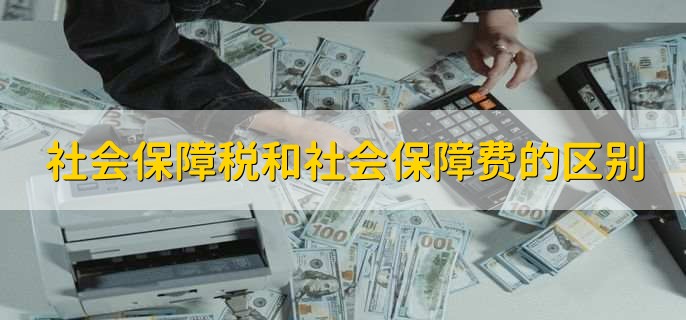 /tzlc/205936.html