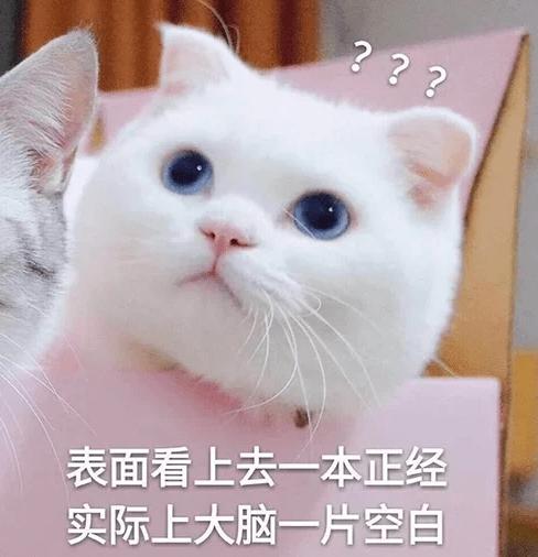 猫吃虾壳有营养嘛