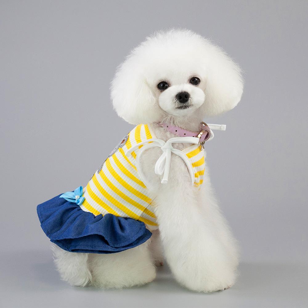 盘点五大好养的小型犬