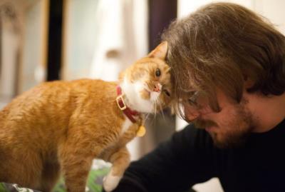 猫生产前的几小时征兆 猫咪临终前的5个征兆