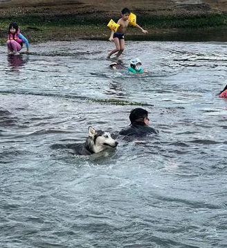 狗“杀死”主人的几率很小 但绝不是零…