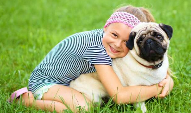分析养巴哥犬的优缺点