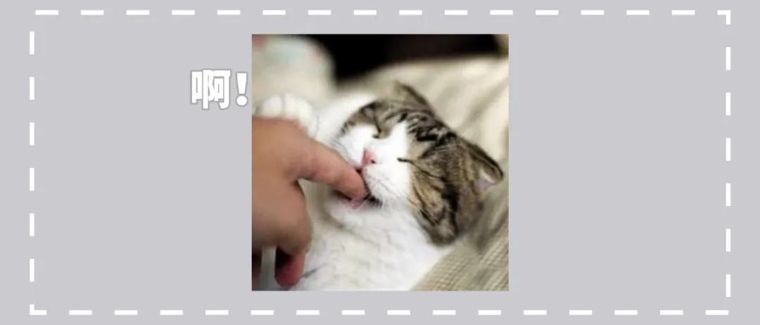 猫把人咬出血了会愧疚吗