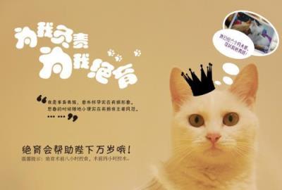 公猫绝育后注意事项