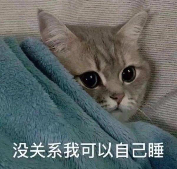 猫会哭吗