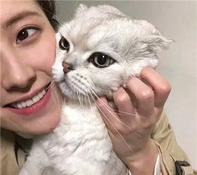 猫对主人 的吸猫行为反感嘛