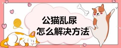 防止公猫乱尿的方法