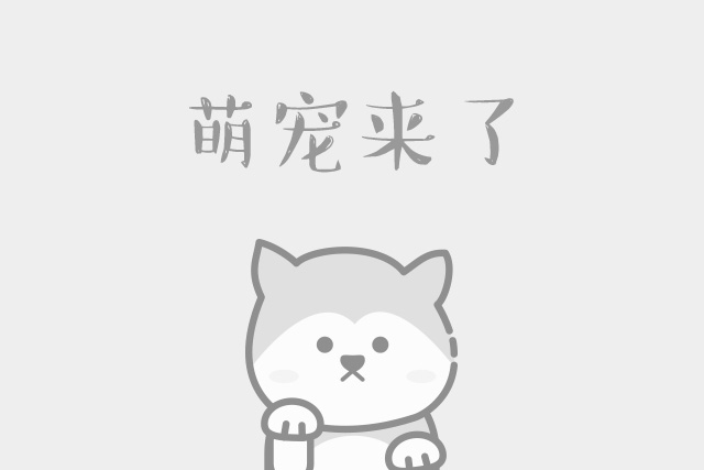 飞耳比熊为什么那么贵