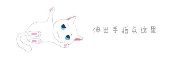 母猫绝育第一天夜里是危险期